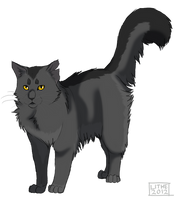 .:Graystripe:.