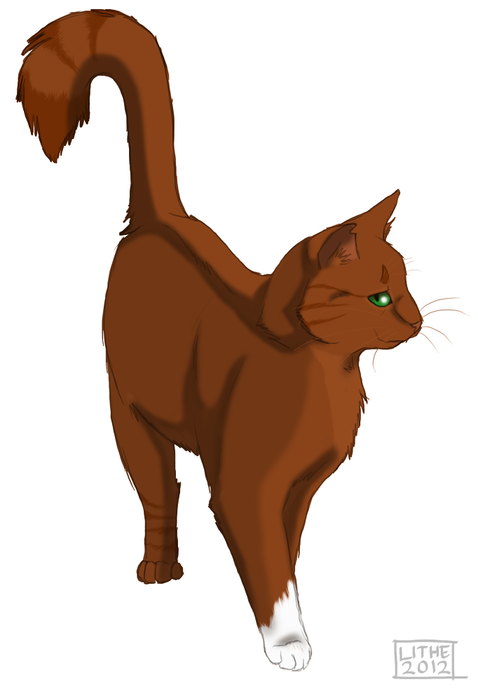 .:Squirrelflight:.