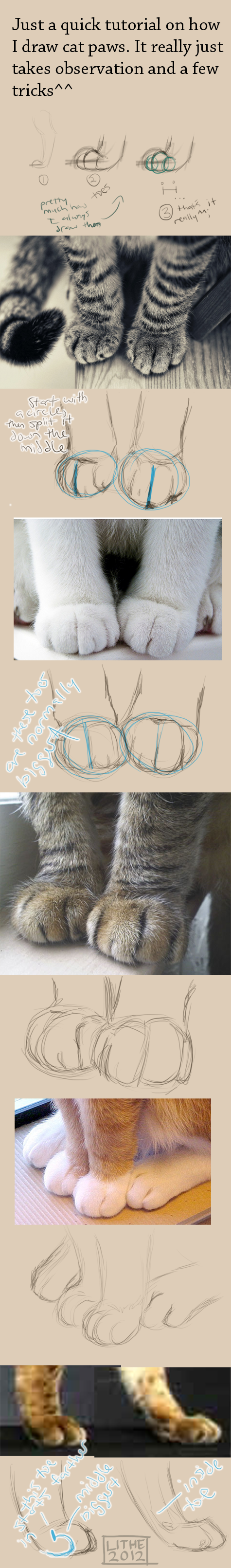 Cat Paw Tutorial