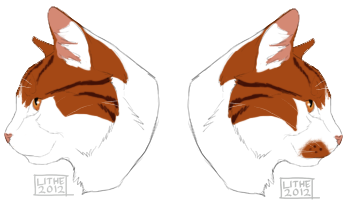 Raypaw Profiles