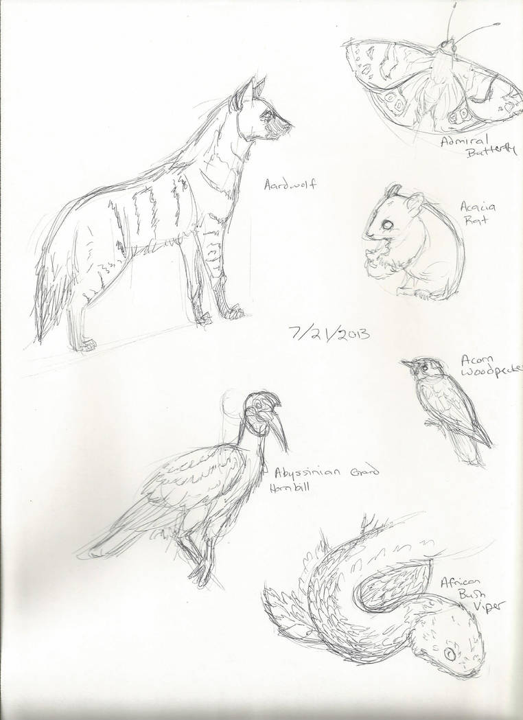 animals that start with A 1 by Lithestep on DeviantArt