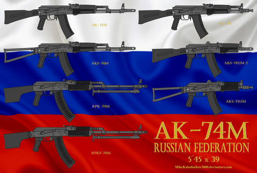 Russian AK-74M rifle family