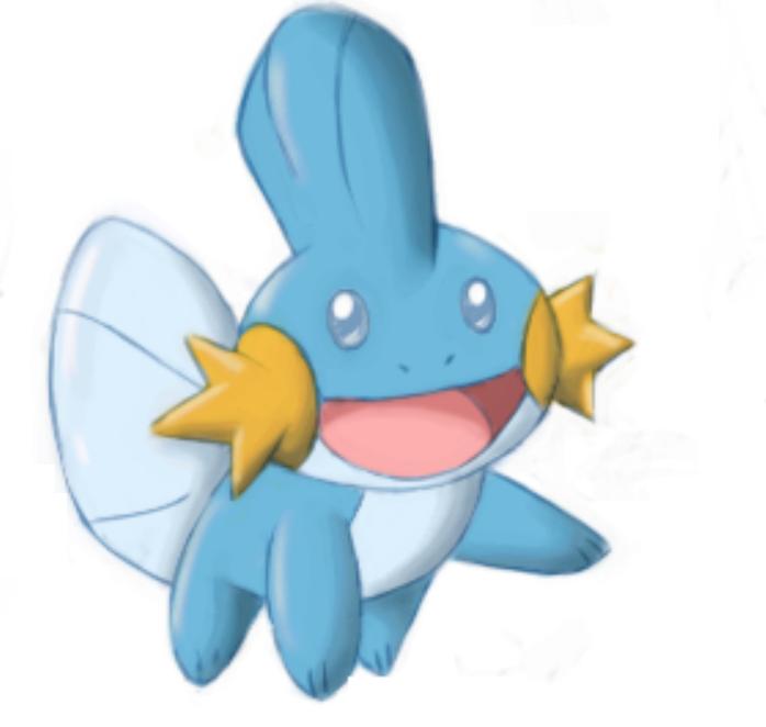 Mudkip