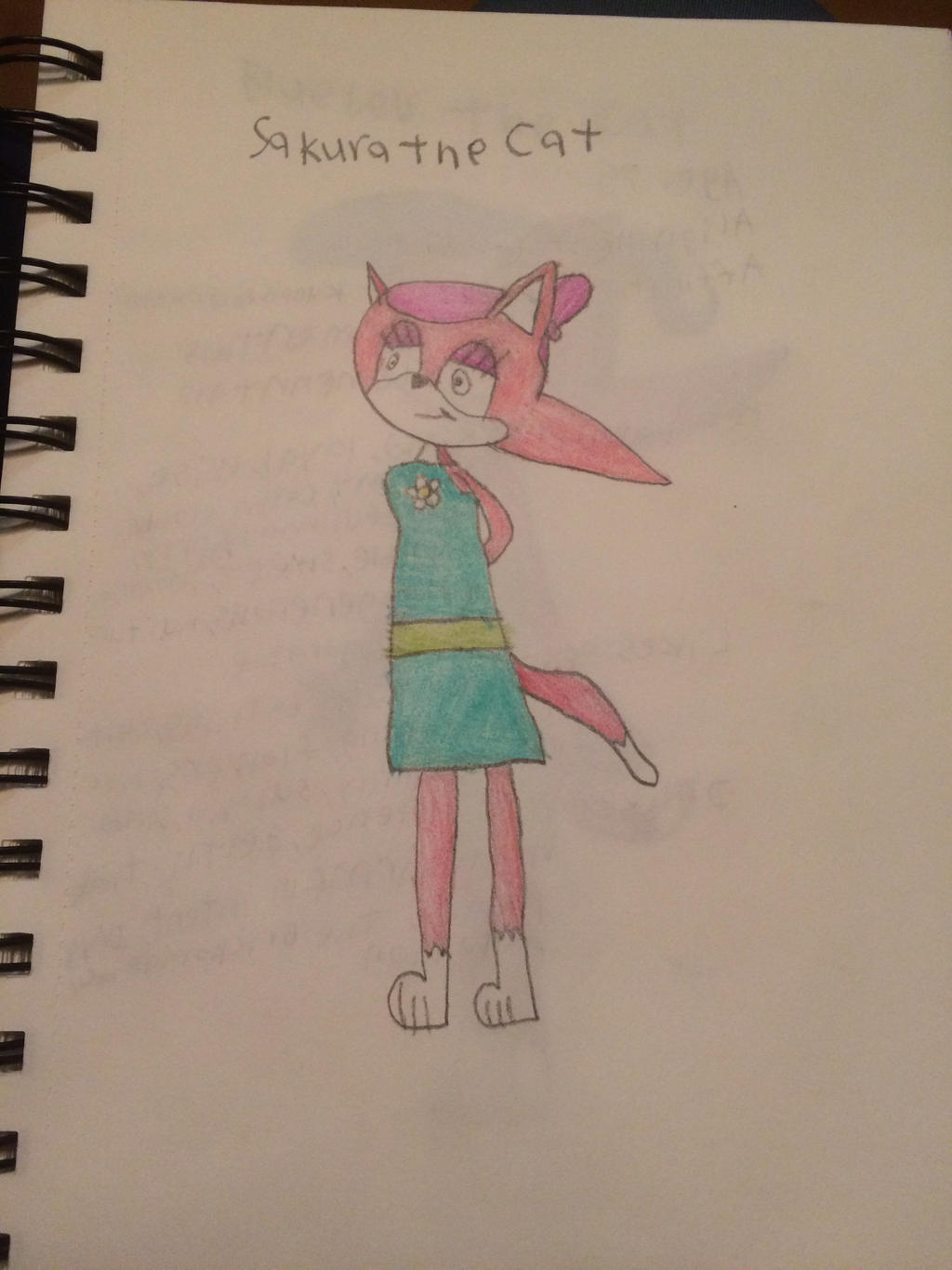 Sakura the Cat