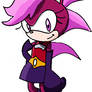 Sonic X: Heroes Forever Sonia the Hedgehog