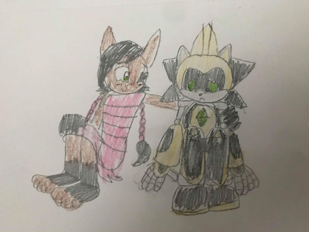 Sonic X: Heroes Forever: Shard and NICOLE