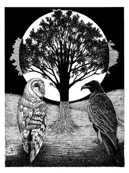 Raven And Owl