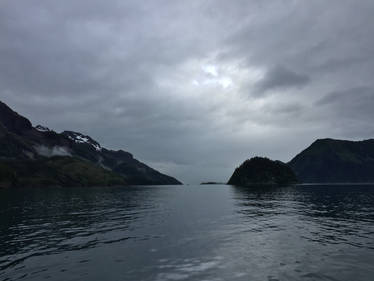 Alaska Stock, Resurrection Bay