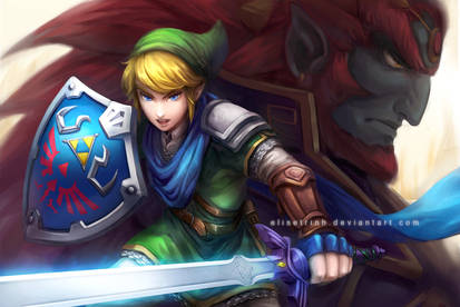 Hyrule Warriors - Link