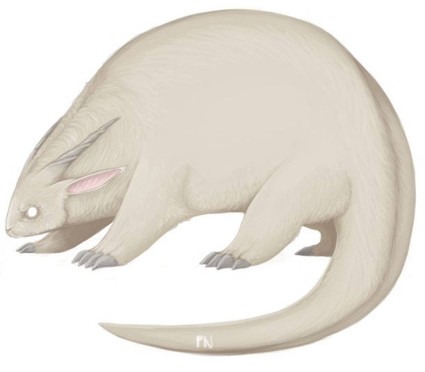 Dupin Rabbit Dune Rabbit by Geheimnis19 on DeviantArt