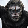 Caesar - Dawn of the Planet of the Apes