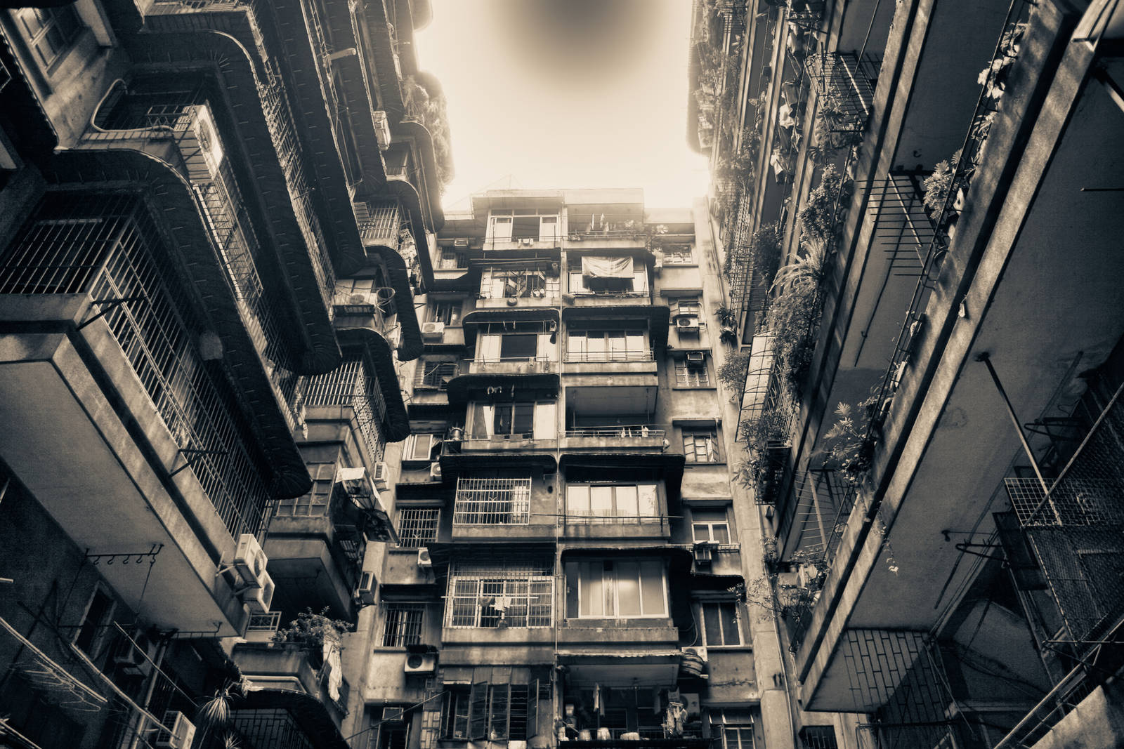 Complex. by lacusonline4