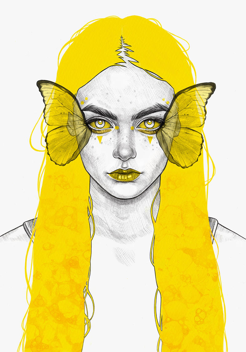 Yellow Butterfly by Tomasz-Mro on DeviantArt