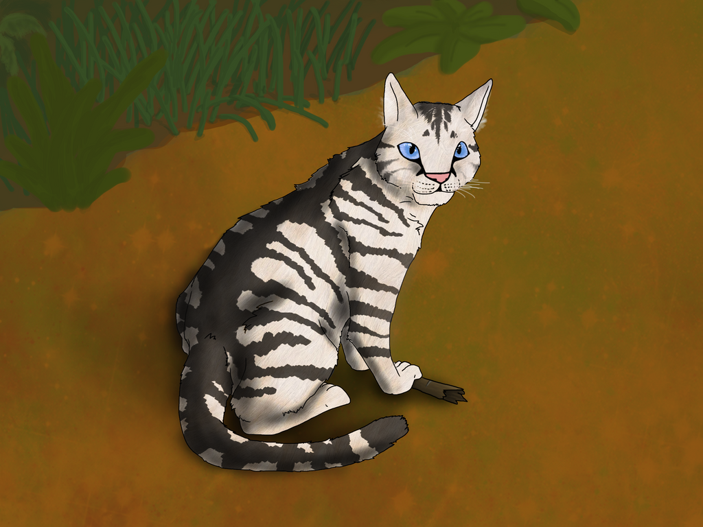 Jayfeather