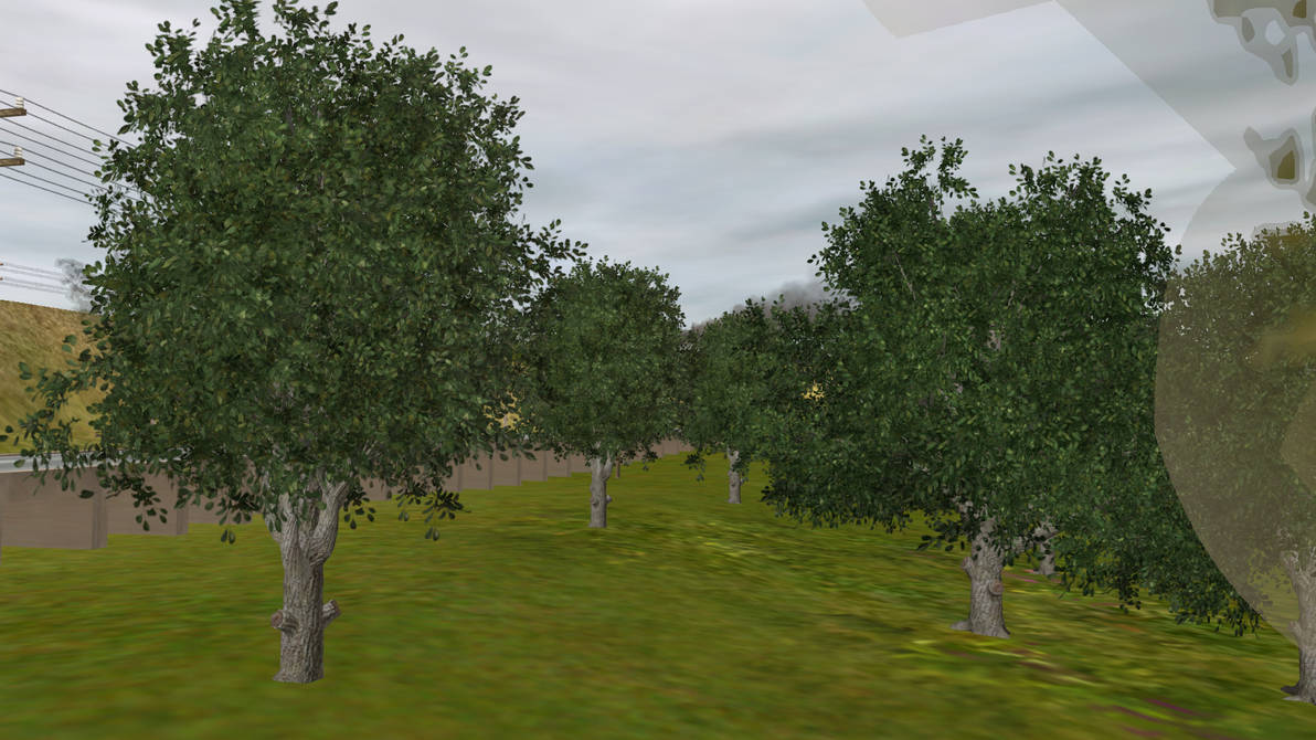 Speed Trees down by the road side =3 by jimmyhook19202122 on DeviantArt