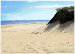 Beach-dune