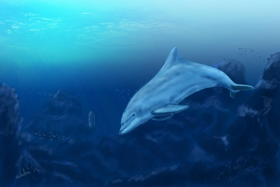 Ecco The Dolphin