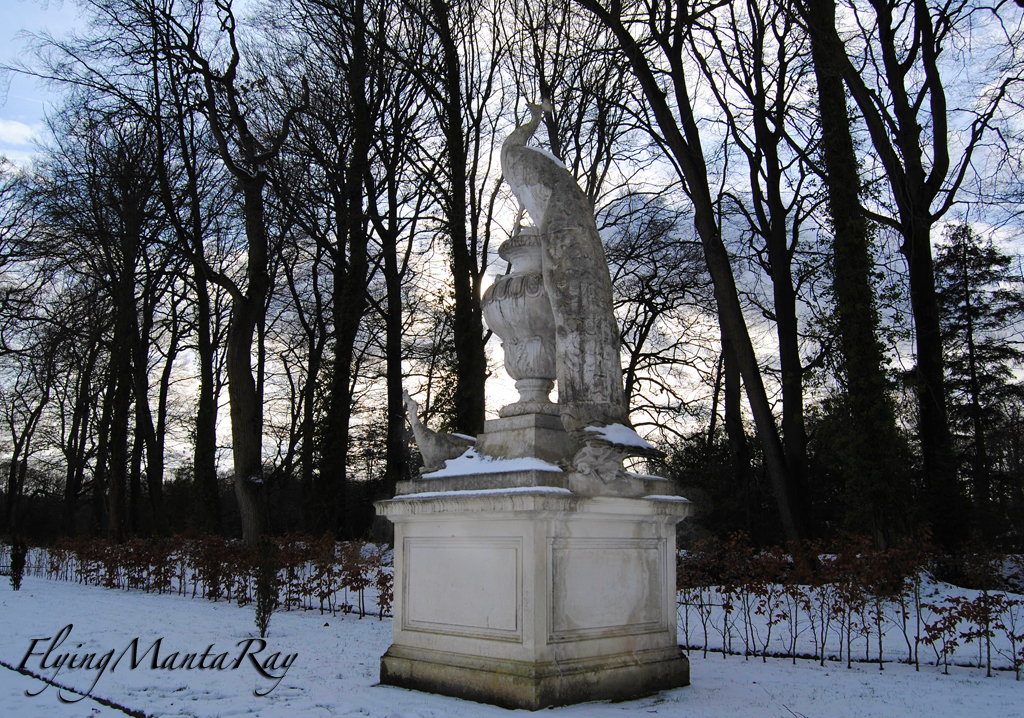 Peacock statue