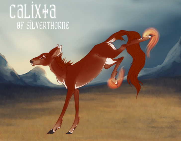 Calixta | Hind | Silverthorne | Herd Member