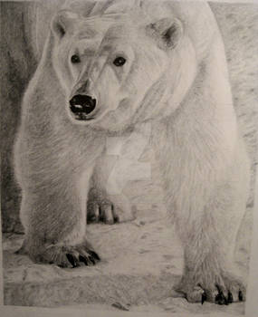 Polar Bear in a Snow Storm