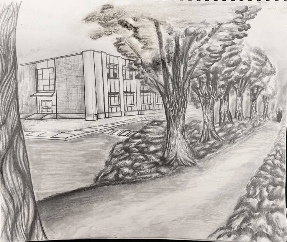 The path near the school by Kimorox on DeviantArt
