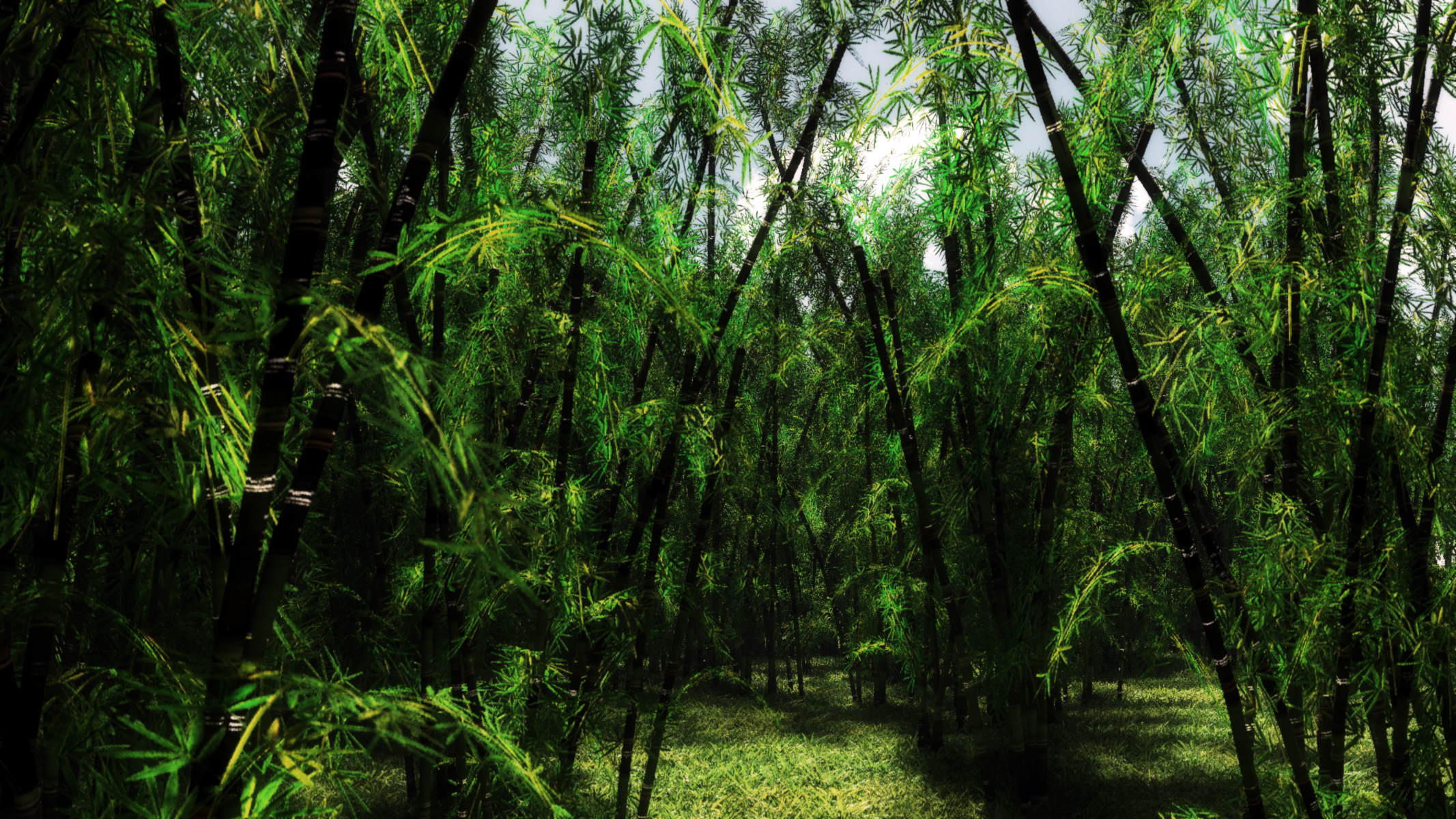 Bamboo forest 2