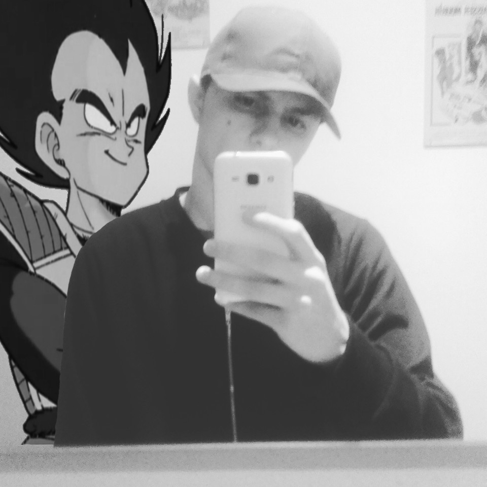 Selfie with Vegeta (Alone but pro like style )