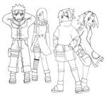 Team 7 and LISA