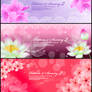 romantic flower vectors