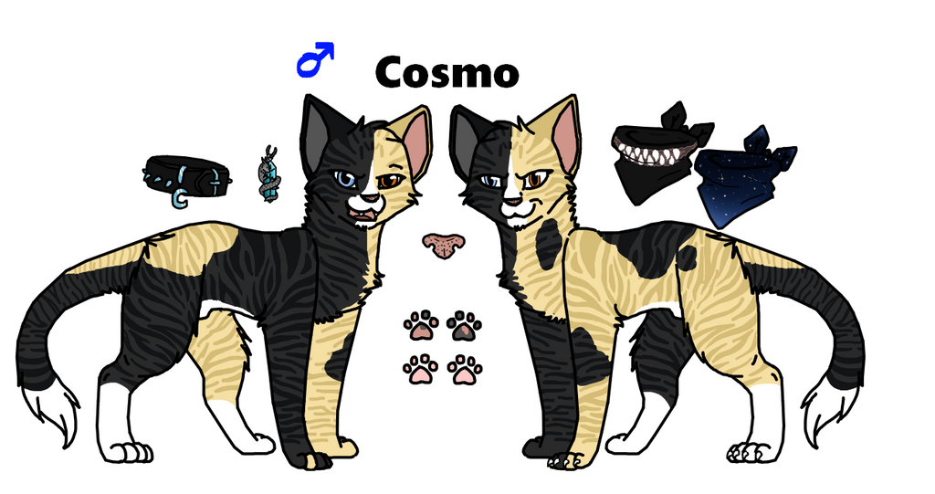Cosmo Reference Cosmo reference sheet by Kaiterpillar on DeviantArt