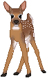 https://www.deviantart.com/kaiterpillar/art/Whitetail-Deer-fawn-F2U-page-decor-705017149