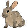 Brown rabbit F2U pixel _f2u_