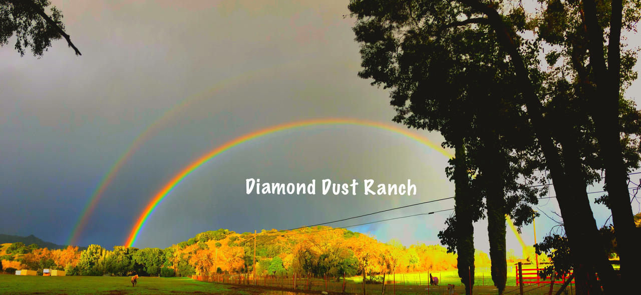 Diamond Dust Ranch by diamondtrailgems on DeviantArt