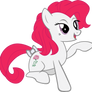 My Little Pony January Carnation