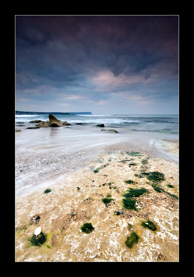 Seaweed and Stones