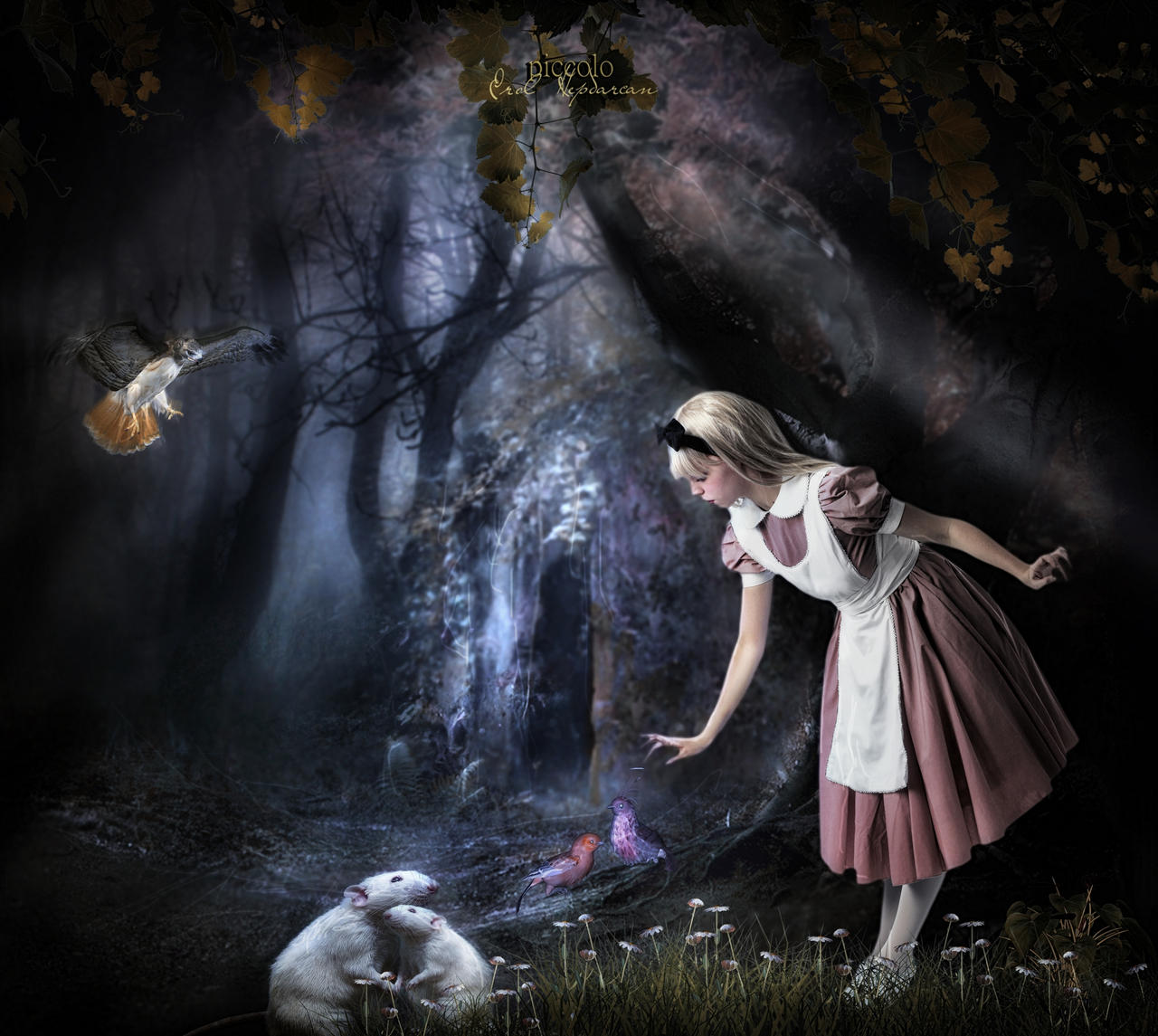 ALICE IN MAGIC FOREST