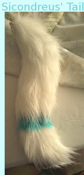 Sicon's tail