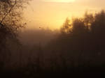Morning Mist by petdan64