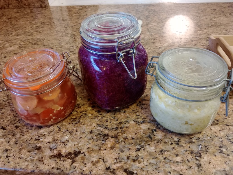 Lactofermented Foods