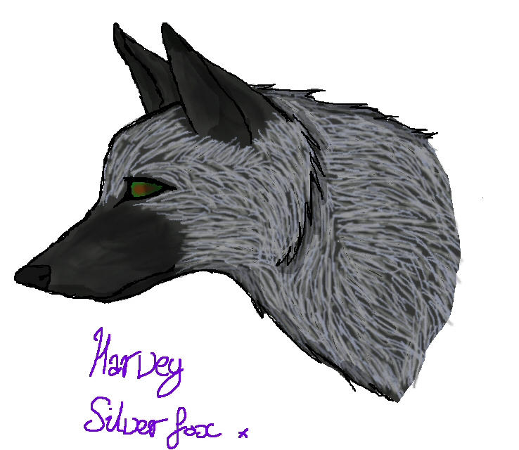 silver fox by RaggedDreams on DeviantArt
