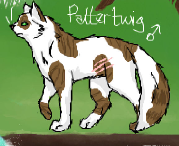Pattertwig by RaggedDreams on DeviantArt