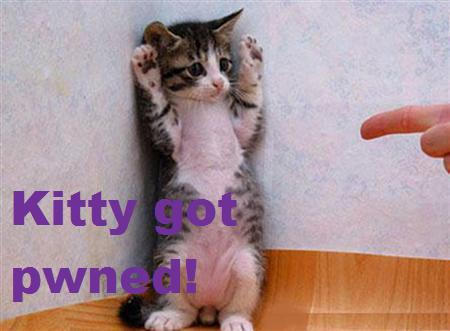 Kitty got pwned