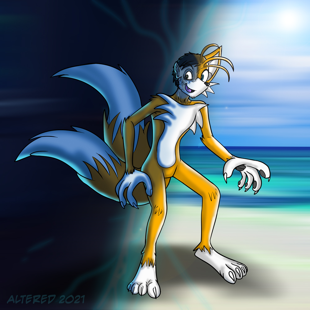 Tails transforming into Super Tails! : r/SonicTheHedgehog