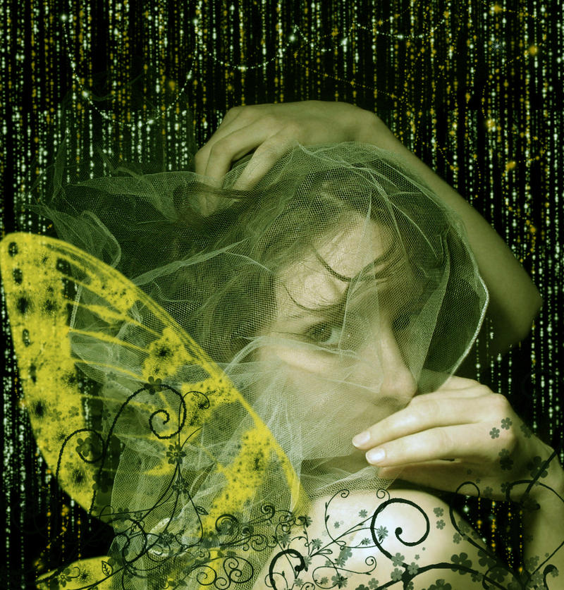 lady butterfly.... by Twitchy-Potfiller on DeviantArt