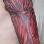 arm with muscle tissue3 Tattoo