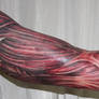 arm with muscle tissue5 Tattoo