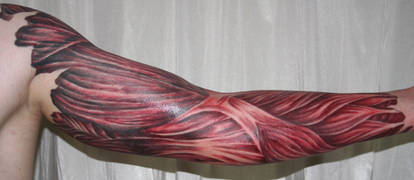 arm with muscle tissue5 Tattoo