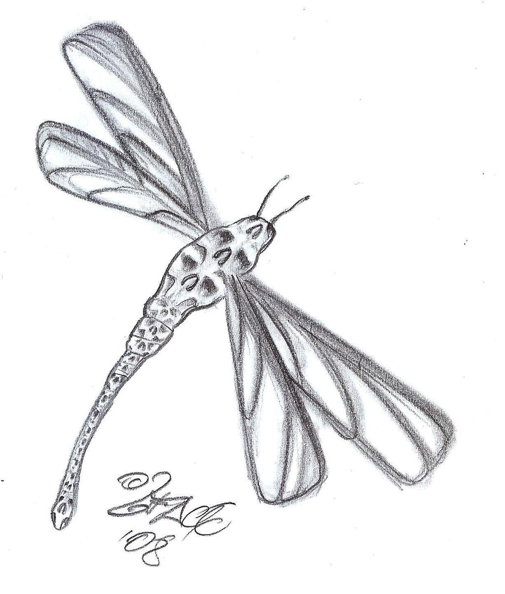 Skull Dragonfly Tattoo Design by 2FaceTattoo on DeviantArt