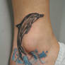 Dolphin Tattoo