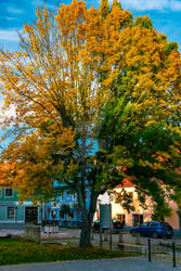 Village Autumn